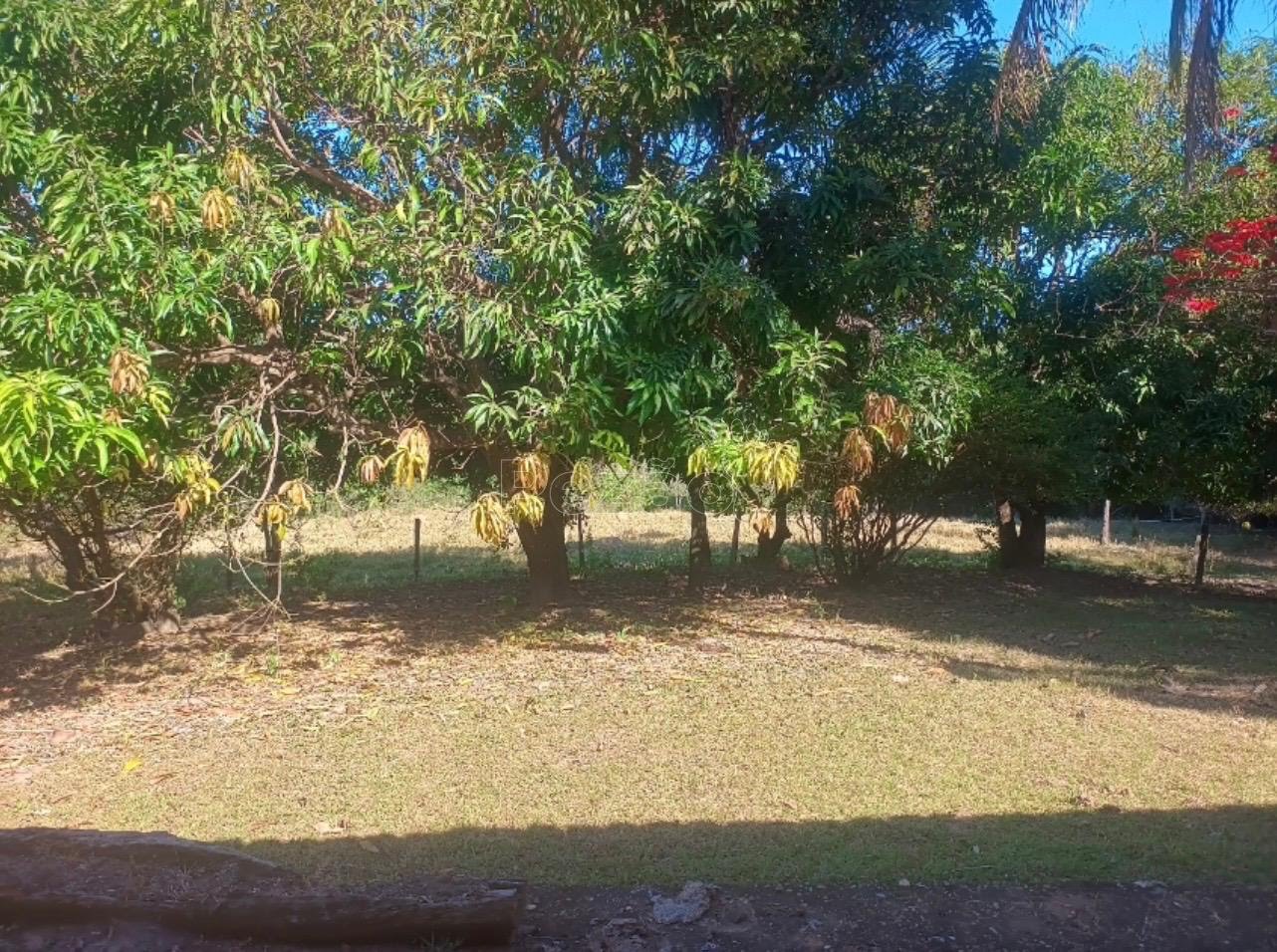 Rural à venda no Imóvel Rural, Itapuranga (GO) — foto 18 de 30