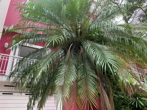 Casa para Locação no bairro Pompeia/SP