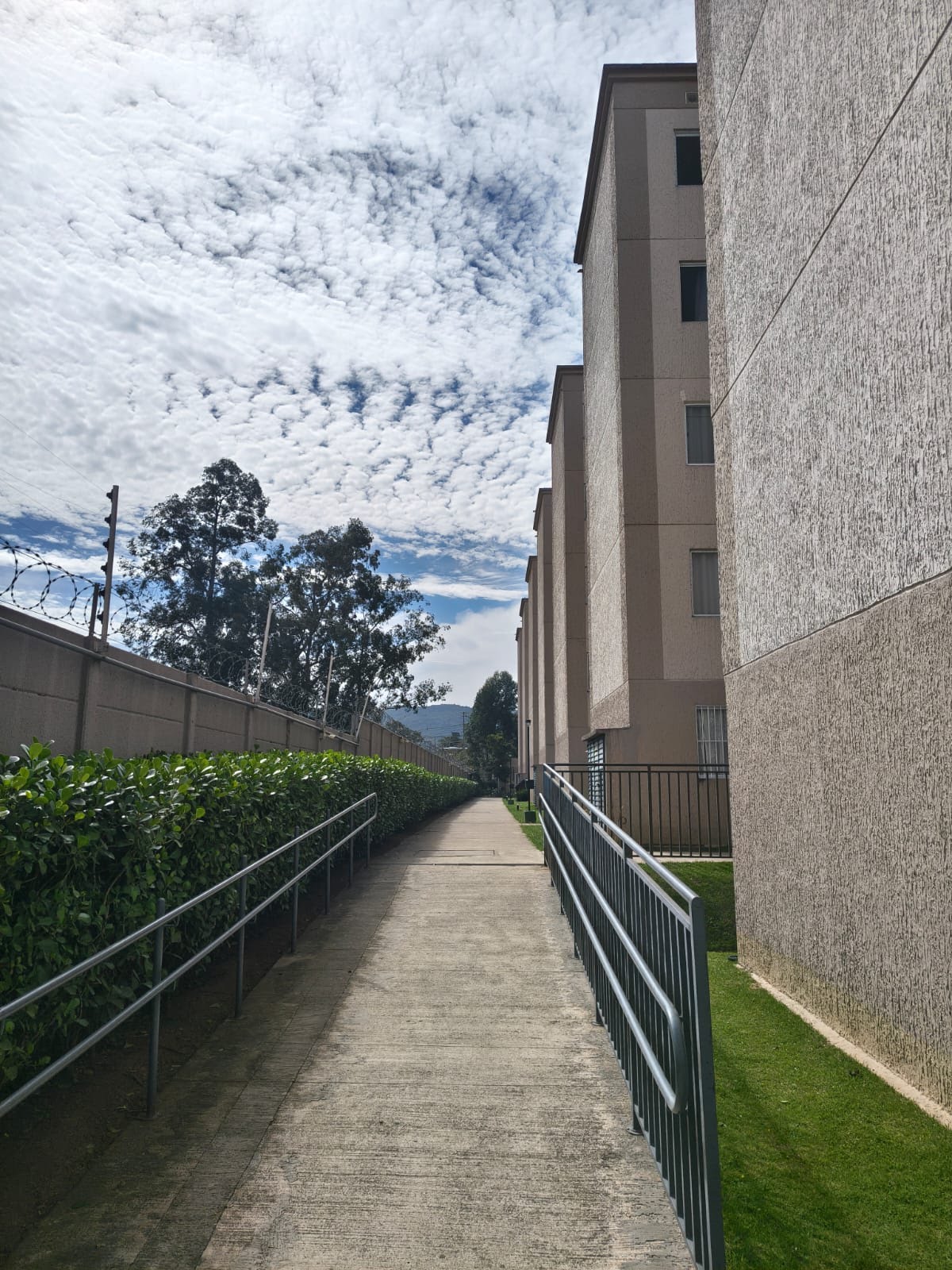 Apartamento à venda com 2 quartos, 1 banheiro e 38m² no Parque Panamericano, São Paulo (SP) — foto 23 de 30