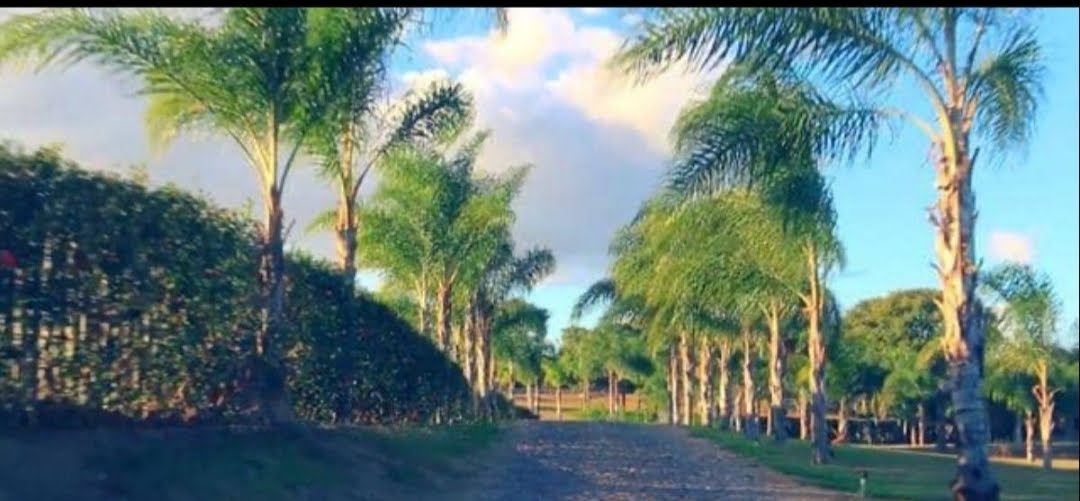 Terreno à venda com 1000m² de terreno no Br Funilândia, Funilândia (MG) — foto 5 de 8