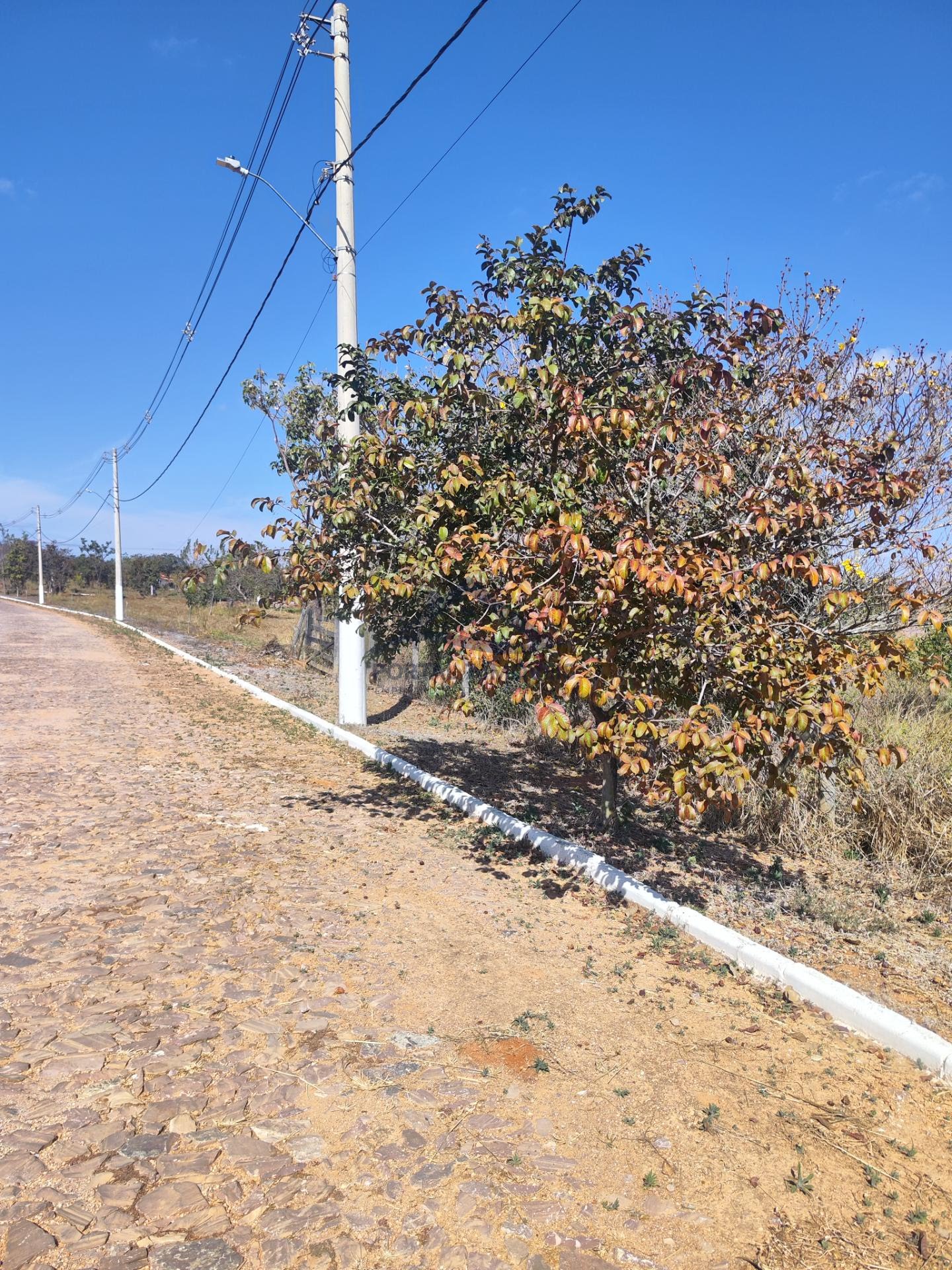 Terreno à venda com 1000m² de terreno no Condomínio Residencial Vale do Sol, Funilândia (MG) — foto 4 de 23