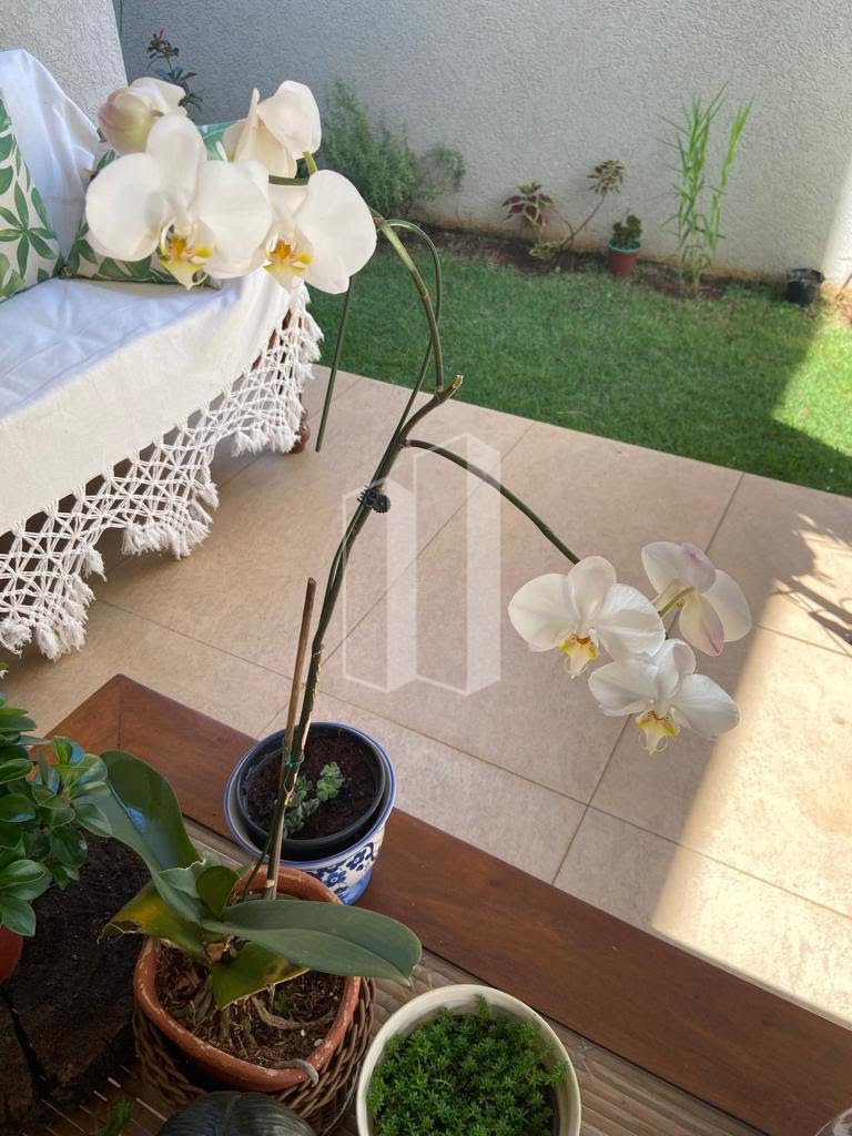 Casa à venda com 4 quartos, 4 suítes, 4 vagas e 322m² no Jardins Mônaco, Aparecida de Goiânia (GO) — foto 22 de 22