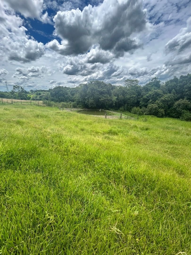 Rural à venda com 20000m² de terreno no Zona Rural, Mirassol (SP) — foto 12 de 27