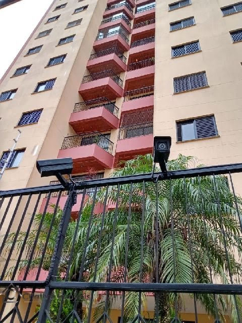 Foto 02
