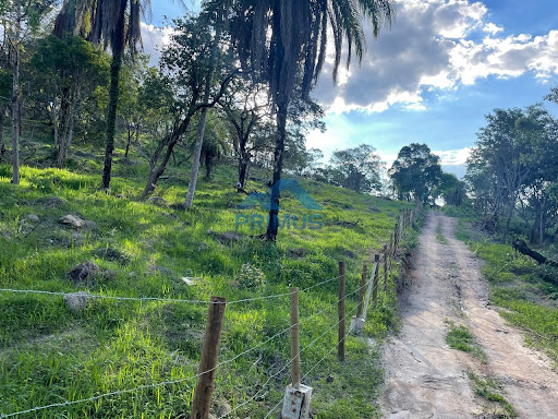 Terreno em Sítio Novo  -  Mateus Leme