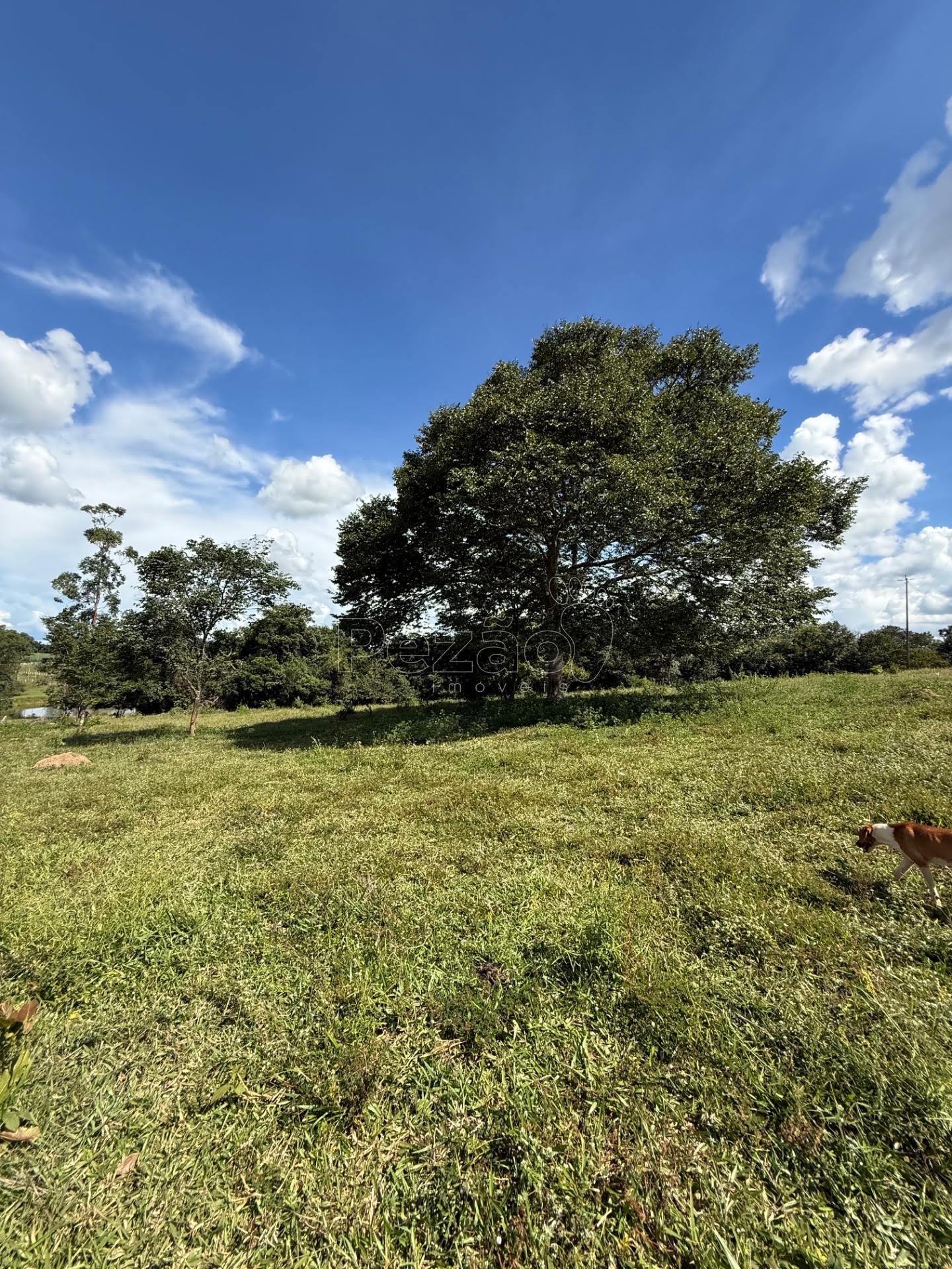 Rural à venda no Fazenda, Itapuranga (GO) — foto 10 de 11