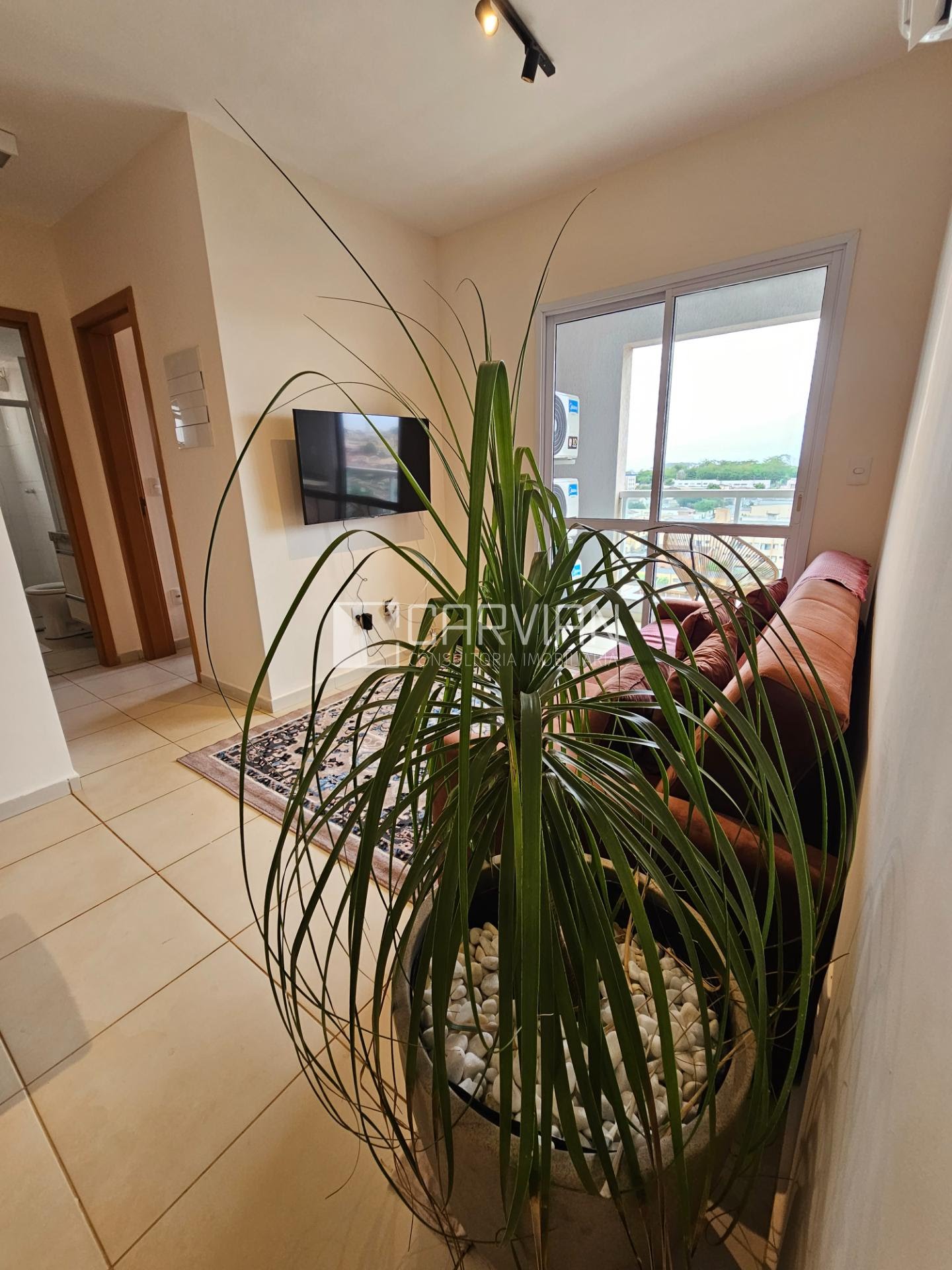 Apartamento à venda com 2 quartos, 1 banheiro, 1 vaga e 55m² no Jardim Palma Travassos, Ribeirão Preto (SP) — foto 21 de 24