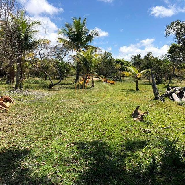 Terreno à venda com 210000m² de terreno no Trancoso, Porto Seguro (BA) — foto 16 de 18