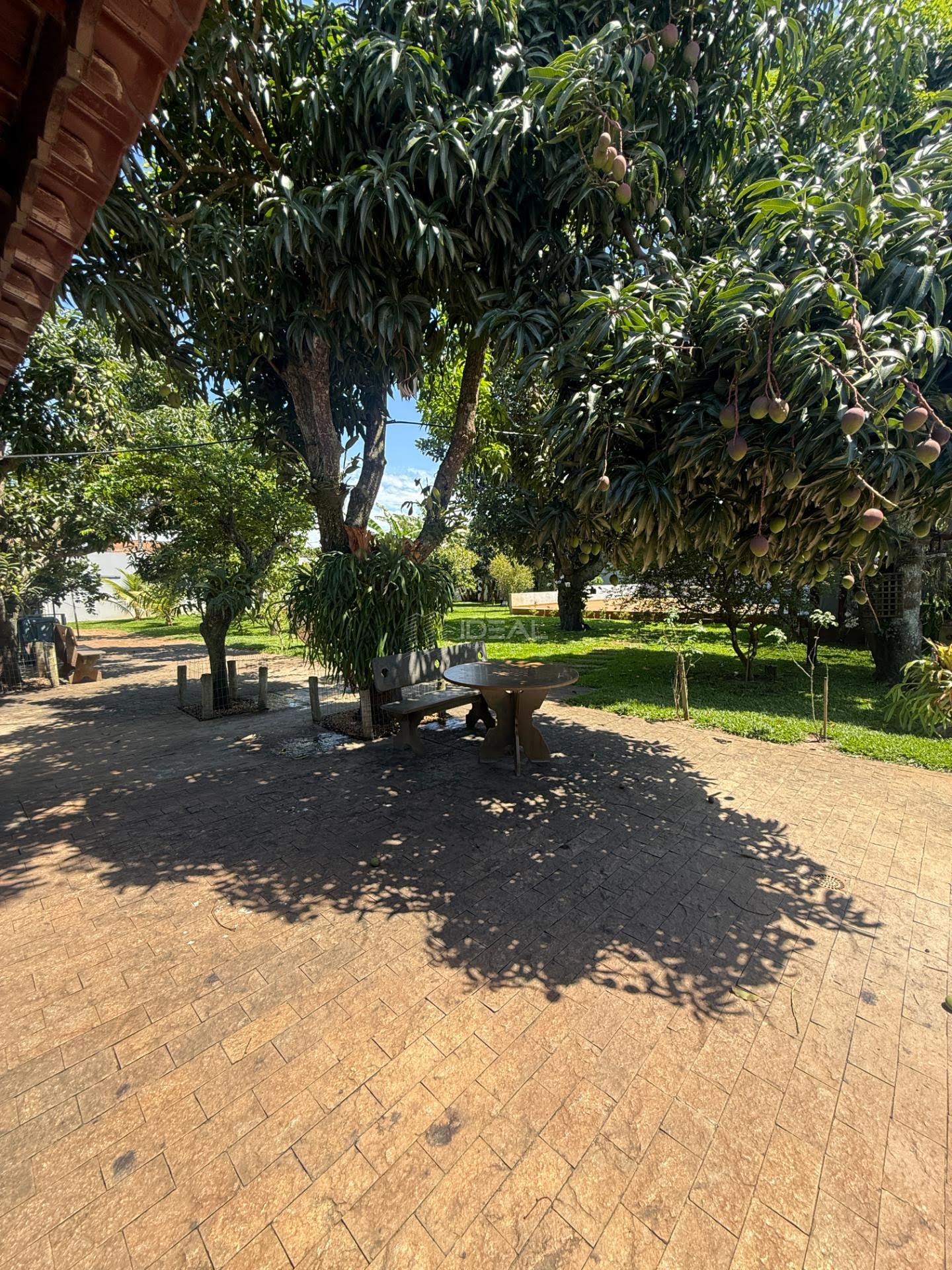 Rural à venda com 1987m² de terreno no Cajueiro, São João da Barra (RJ) — foto 7 de 30