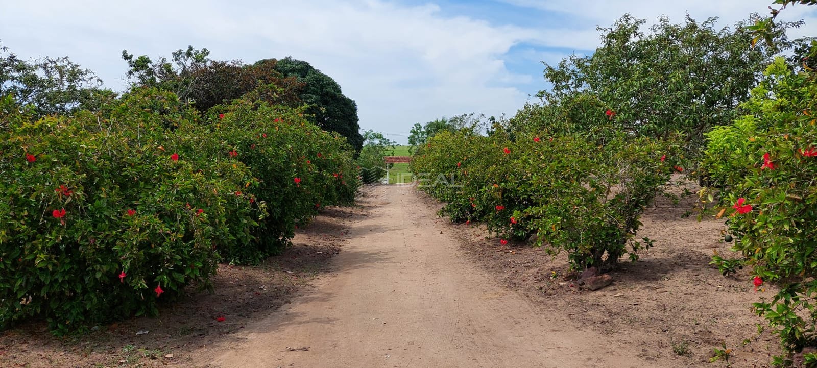 Terreno à venda com 1750000m² de terreno no Nova Travessão, Campos dos Goytacazes (RJ) — foto 20 de 30