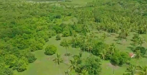 Rural à venda com 270000m² de terreno no Centro, Igarassu (PE) — foto 16 de 17