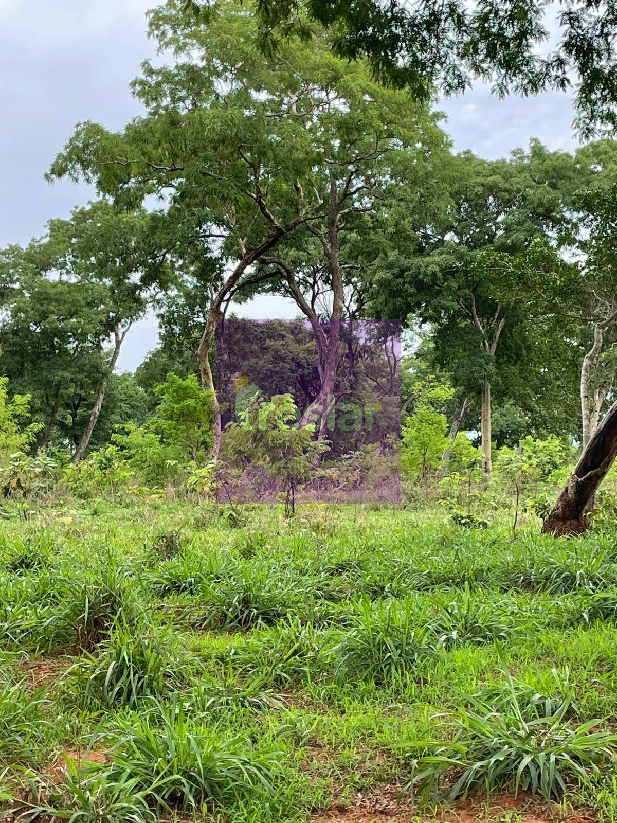 Rural à venda no Fazenda, Três Lagoas (MS) — foto 13 de 24