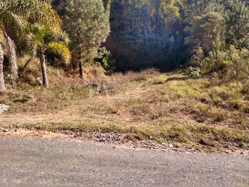 Lote / Terreno em Serra Alta  -  São Bento do Sul