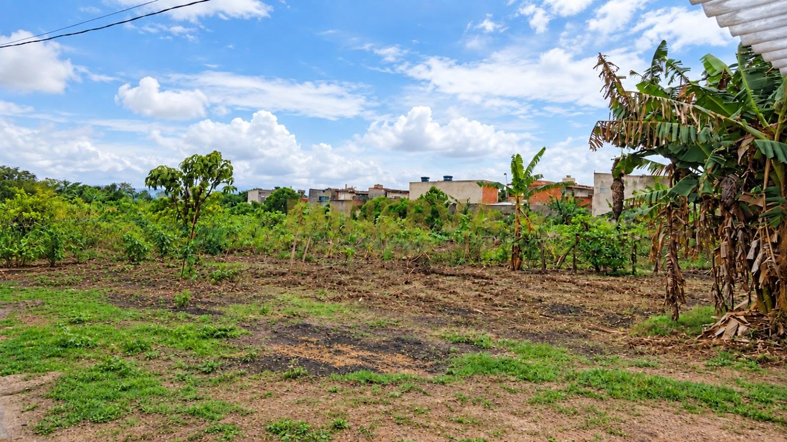 Terreno à venda com 6000m² de terreno no Jardim Presidente Dutra, Guarulhos (SP) — foto 4 de 7