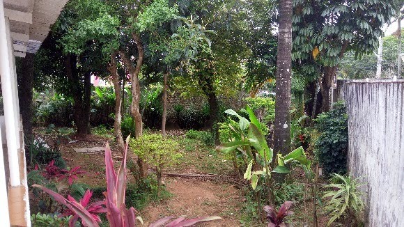Àrea Verde