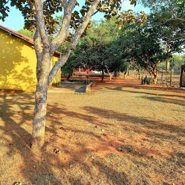 Sítio à venda no Distrito da Água Fria
