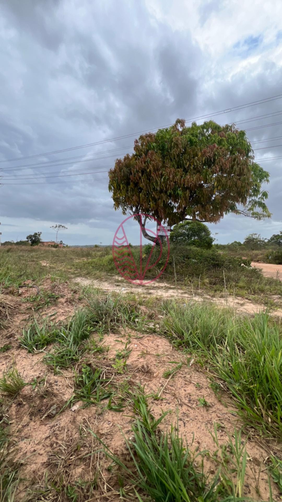 Comercial à venda com 12482m² no Pólo Industrial de Camaçari, Camaçari (BA) — foto 8 de 12