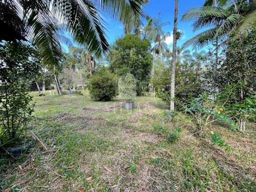 Foto 02