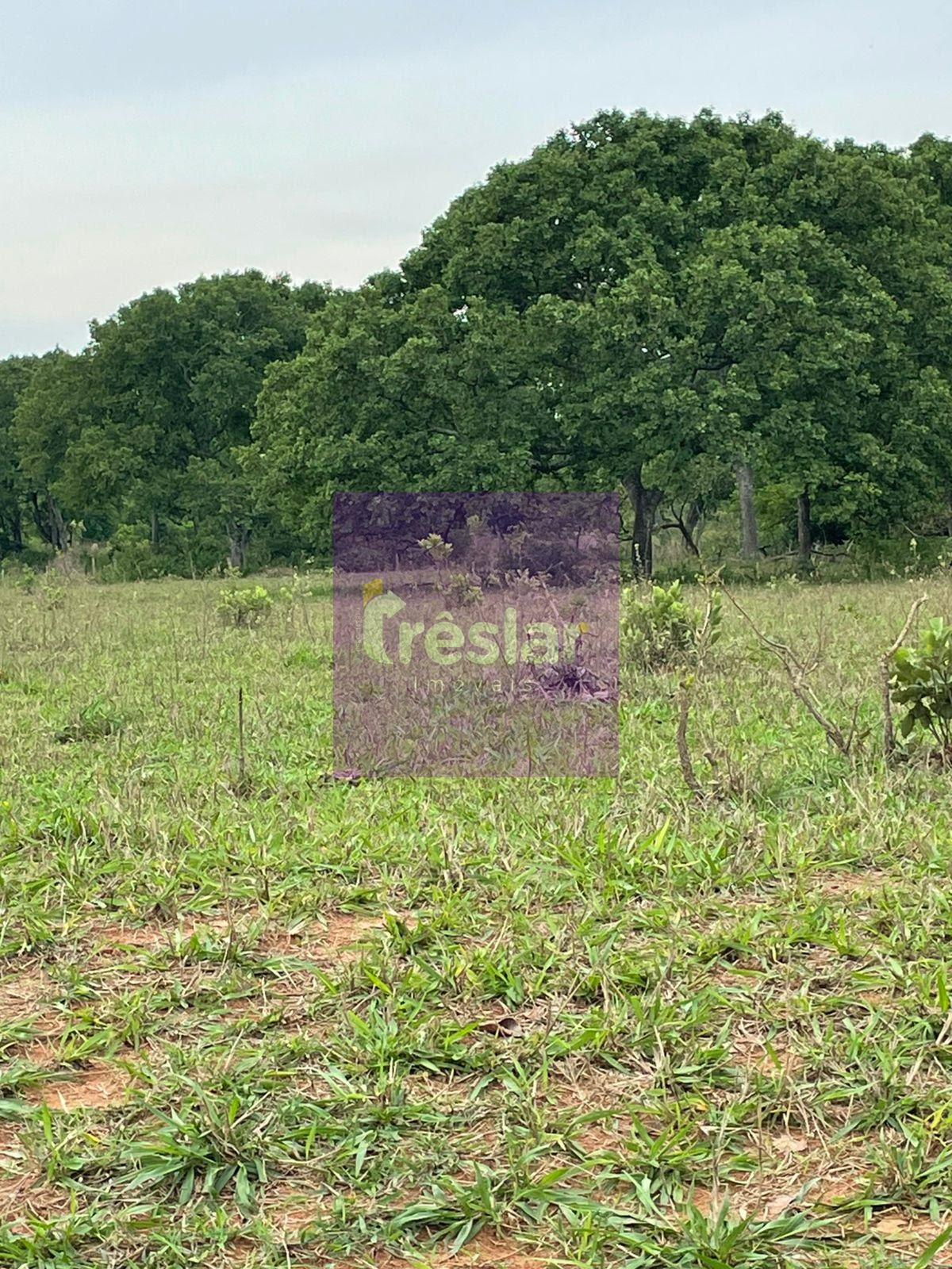 Rural à venda no Fazenda, Três Lagoas (MS) — foto 18 de 24