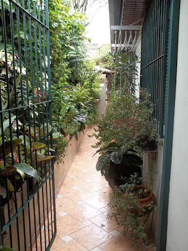 Jardim