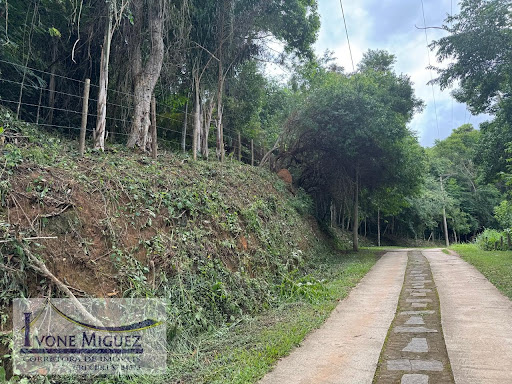 Terreno em Vale Das Videiras  -  Paty do Alferes