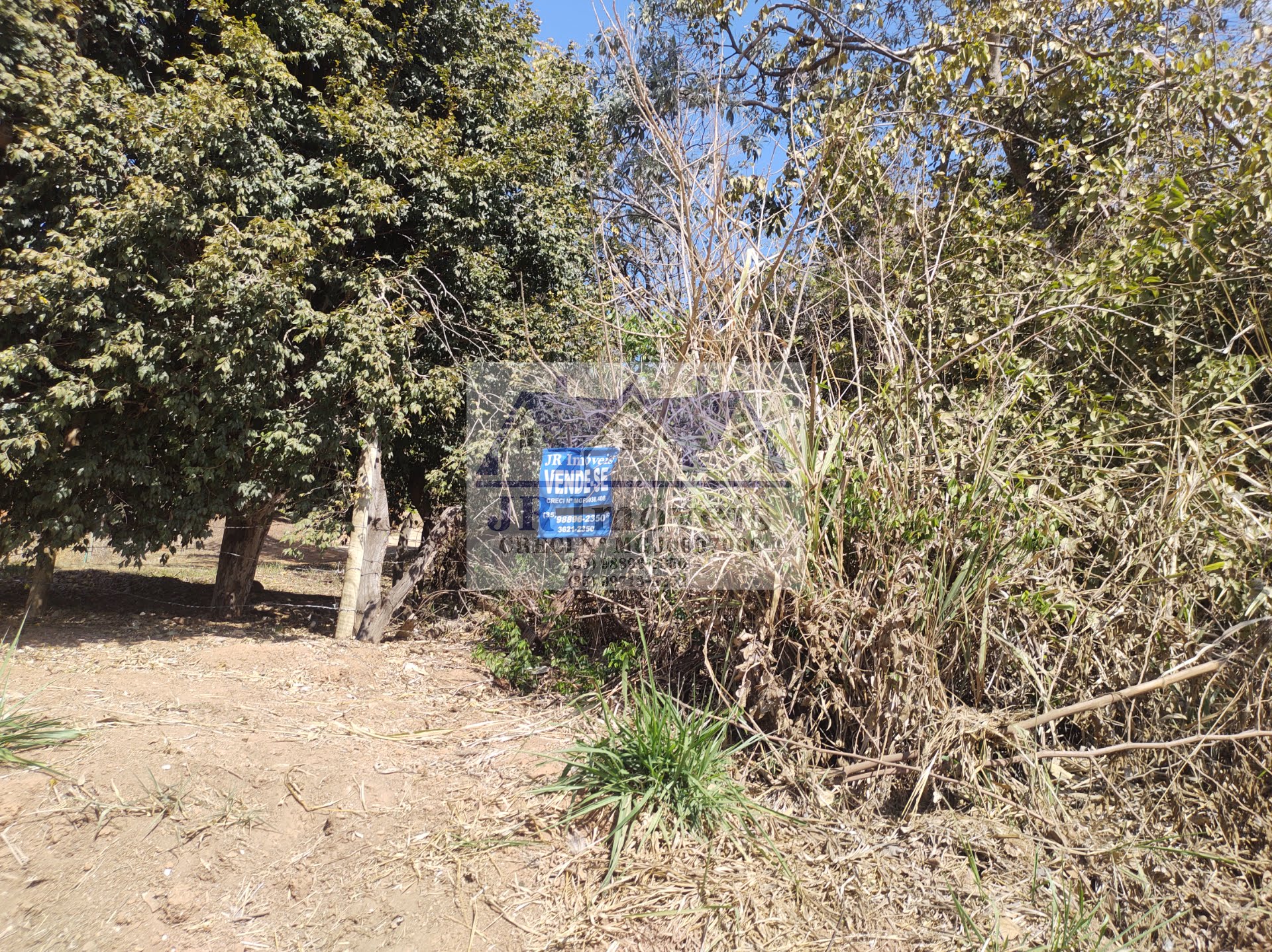 Terreno à venda com 5686m² de terreno no Santa Barbara, Piranguinho (MG) — foto 13 de 17