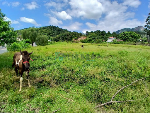 Área em Sertão do Maruim  -  São José