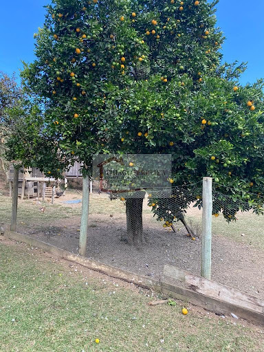 Fazenda em Área rural  -  Cunha