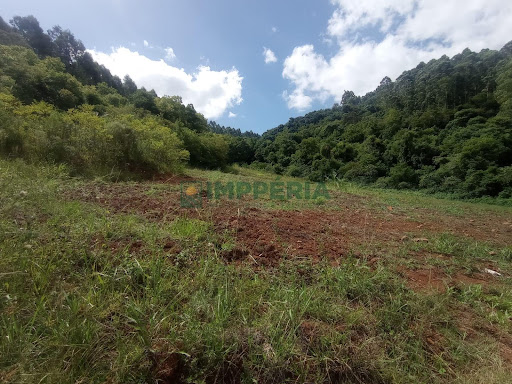 Sítio / Chácara SEM CASA em Linha São José  -  Coronel Pilar