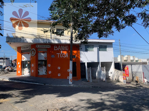 Salão e Residência em Vila Guilhermina - São Paulo, SP
