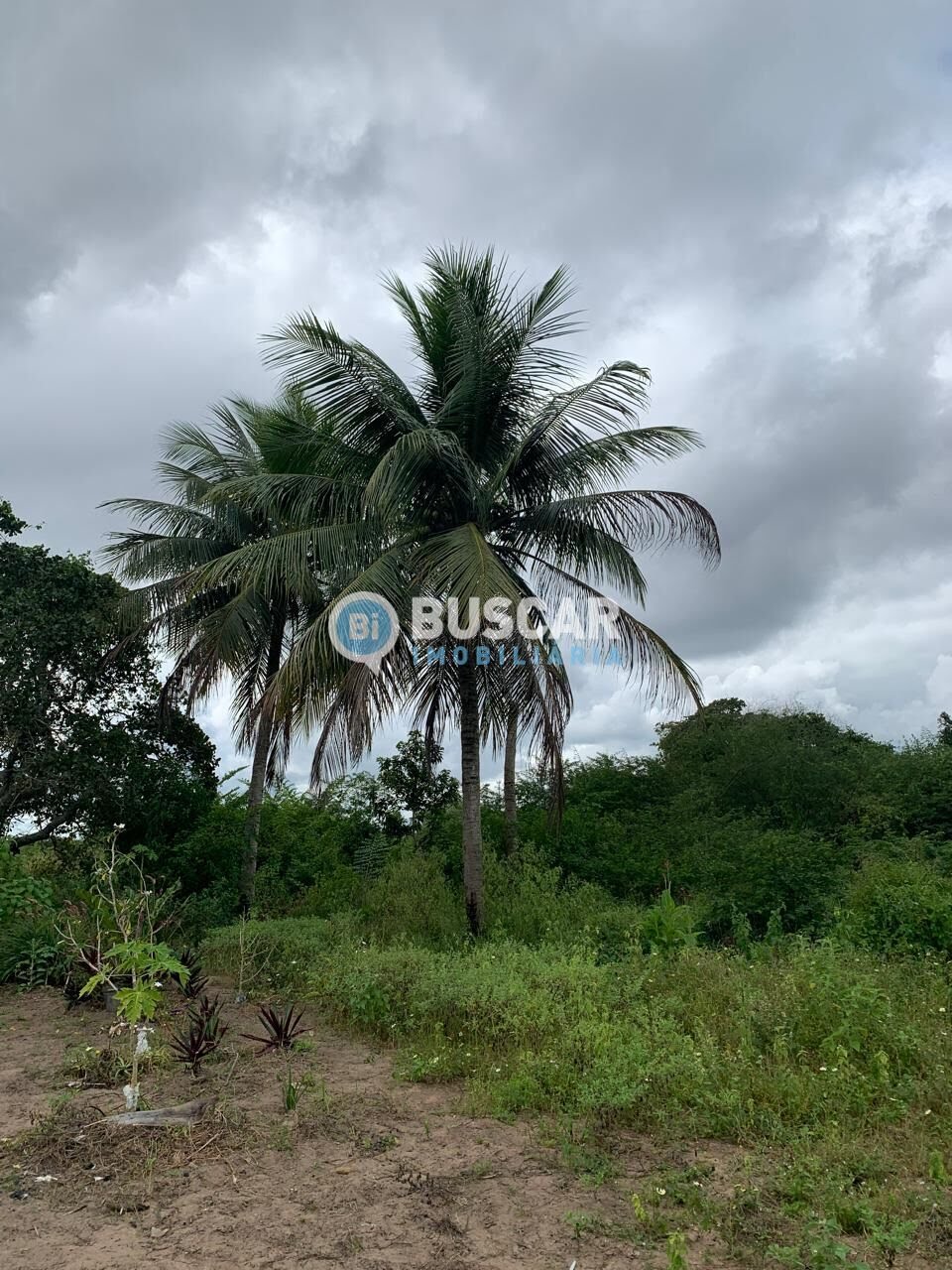 Rural à venda com 13182m² de terreno no Sim, Feira de Santana (BA) — foto 11 de 15