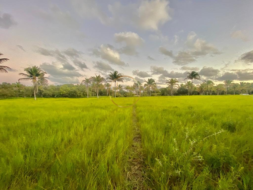Terreno à venda com 5000m² de terreno no Trancoso, Porto Seguro (BA) — foto 8 de 10