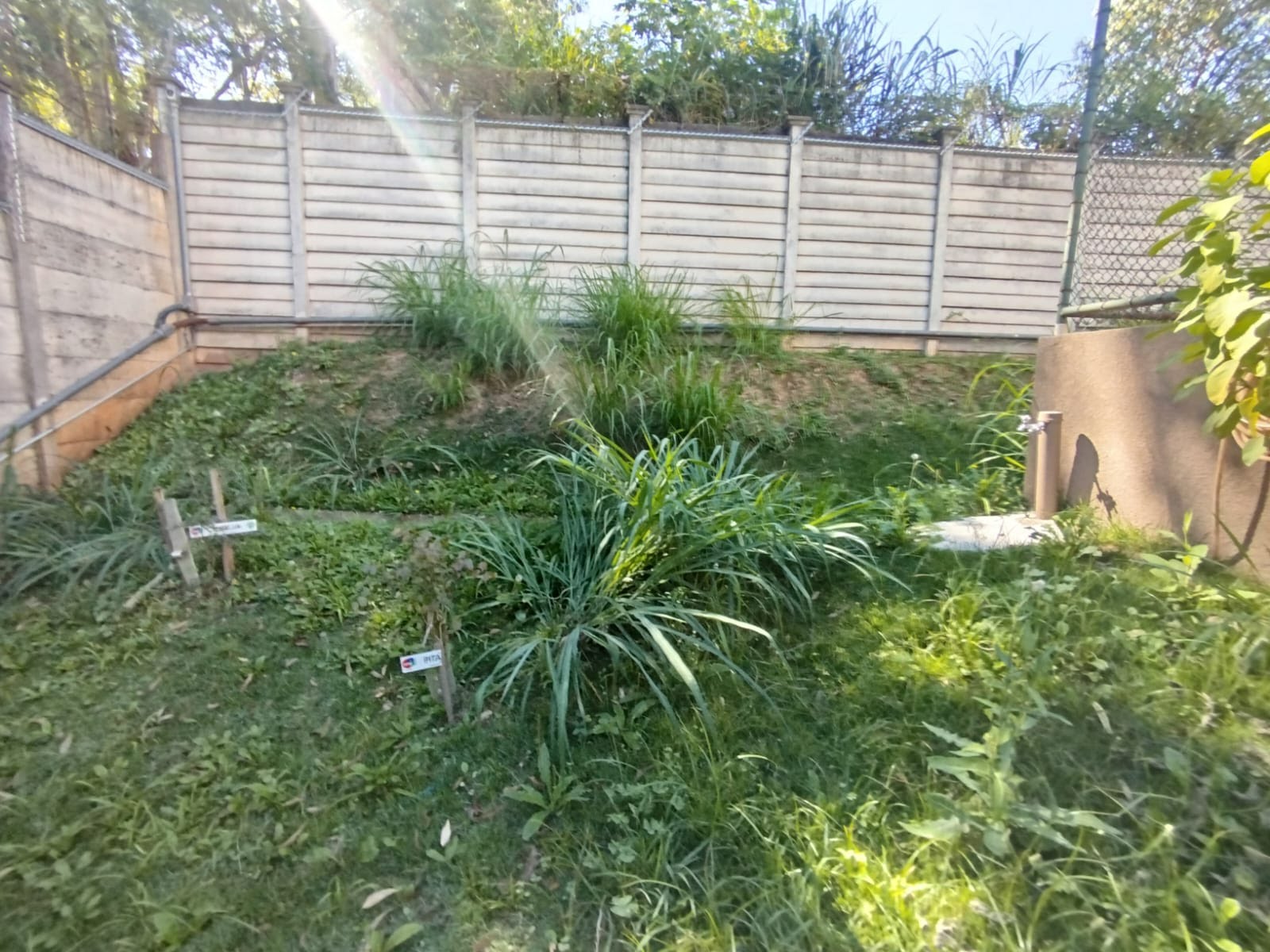 Apartamento à venda com 2 quartos, 1 banheiro e 42m² no Jardim São João (Jaraguá), São Paulo (SP) — foto 30 de 30