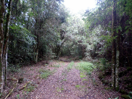 Foto 08