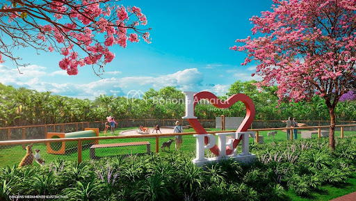 Terreno, 265 m² - Foto 15