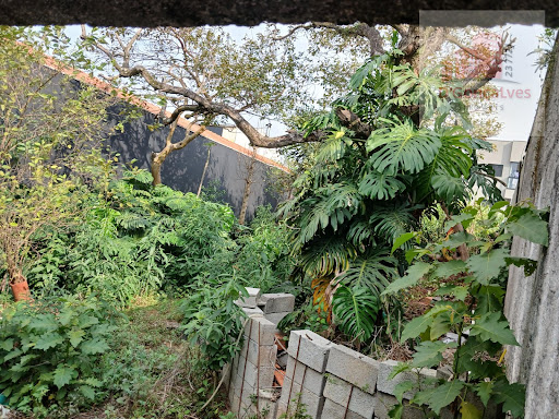 Terreno à Venda no Centro de Diadema - 890m²