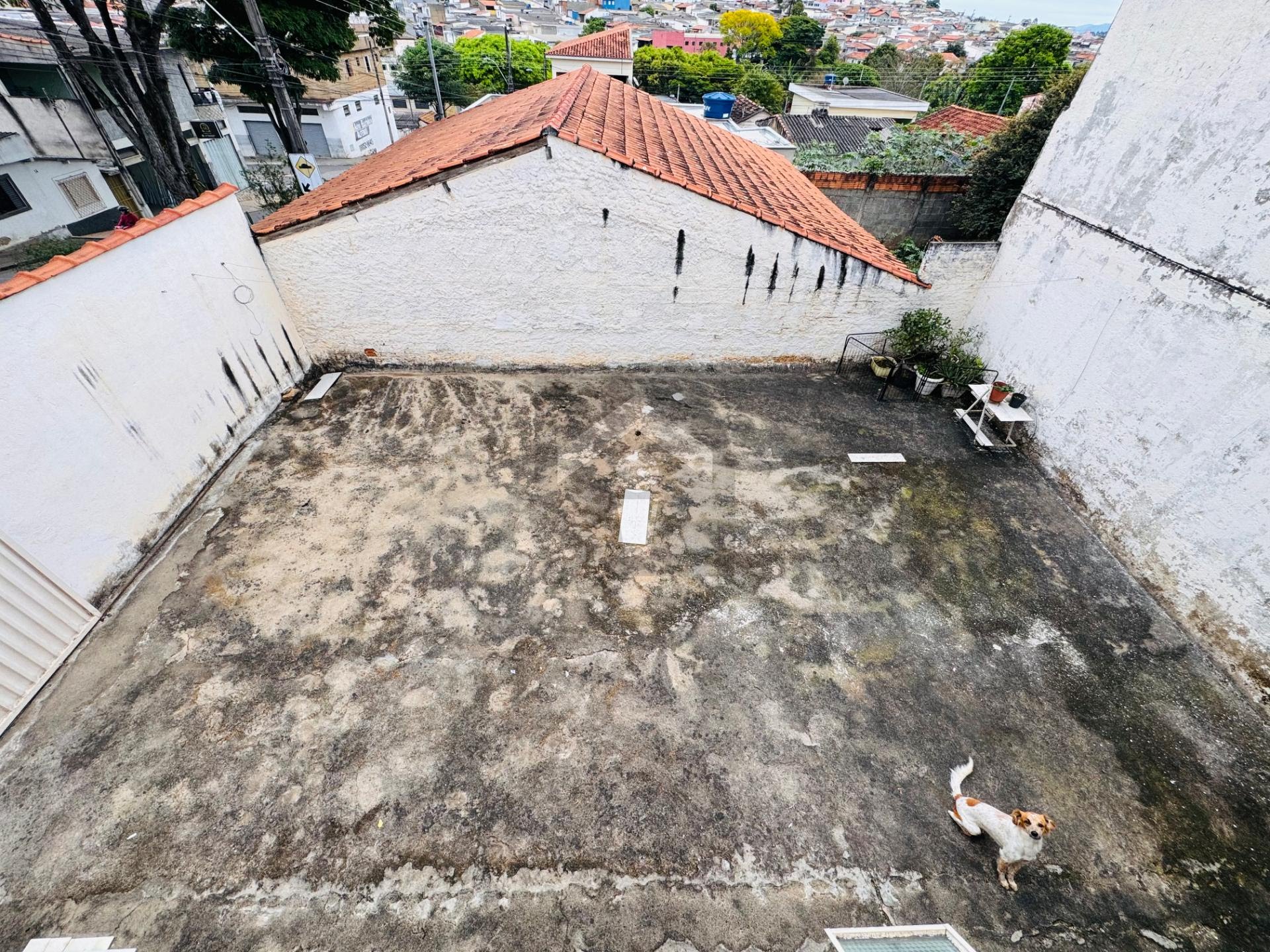 Casa, 4 quartos, 160 m² - Foto 22