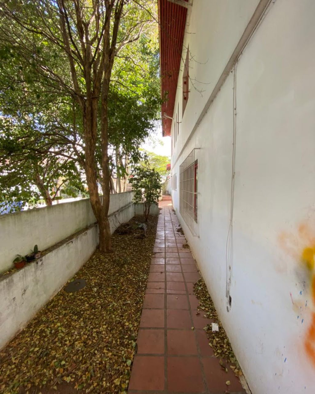 Foto 03