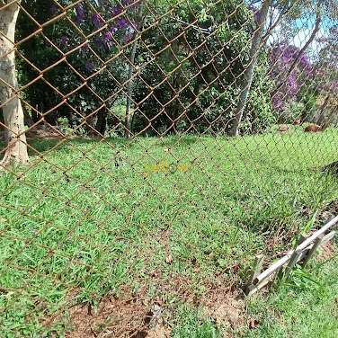 Terreno Residencial  em Chácaras Reunidas Canadá  -  Santa Isabel