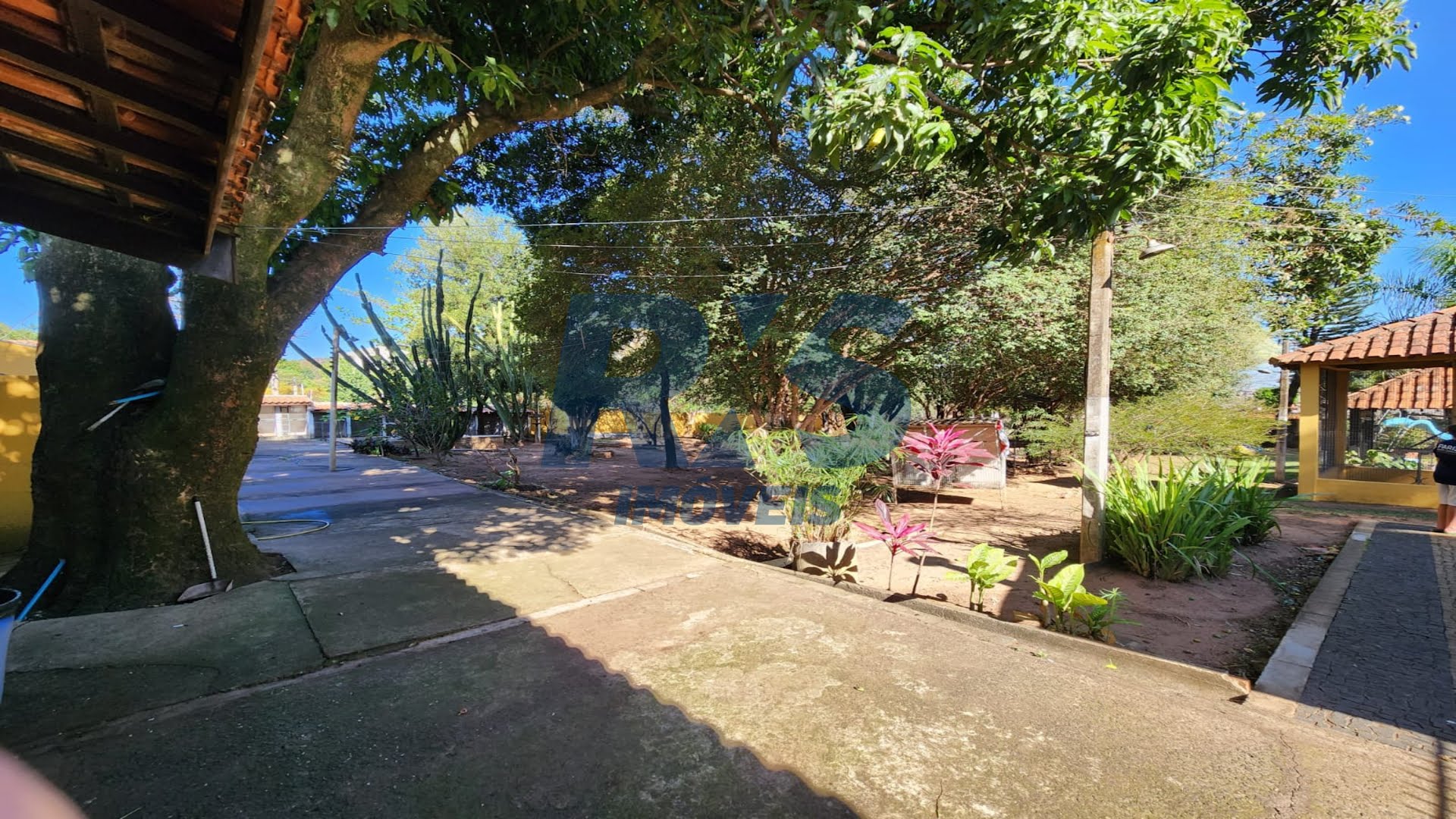 Foto 03