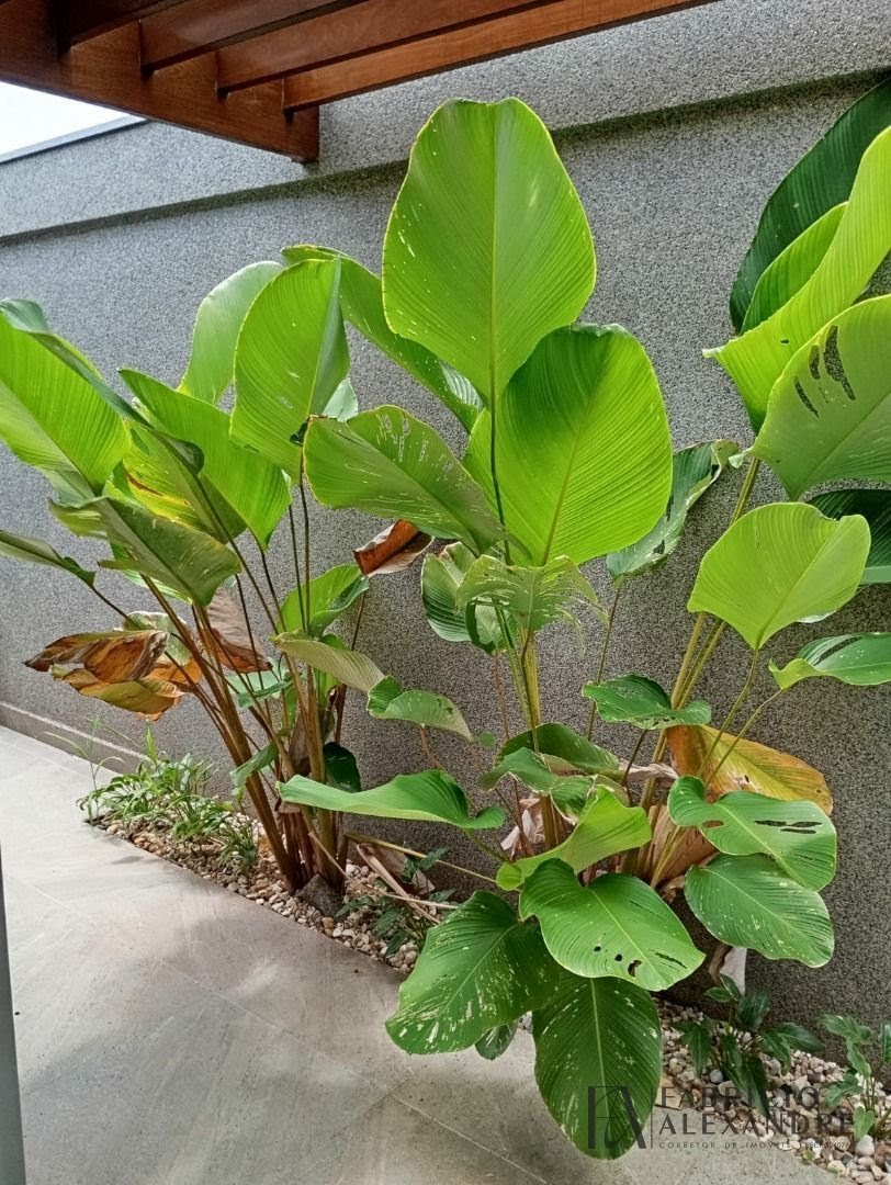 Casa à venda com 3 quartos, 3 suítes, 4 vagas e 215m² no Residencial Gaivota I, São José do Rio Preto (SP) — foto 7 de 30