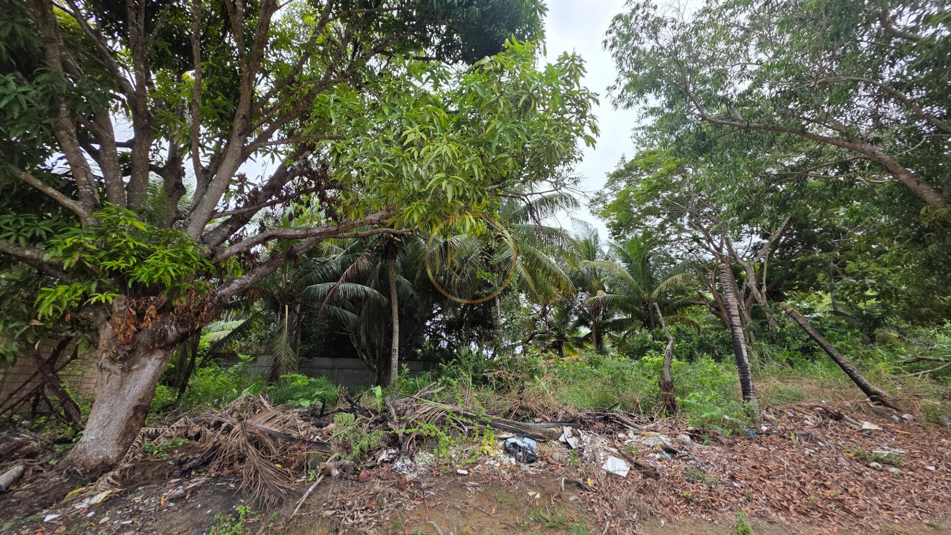 Terreno à venda com 1100m² de terreno no Nova Cabrália, Santa Cruz Cabrália (BA) — foto 8 de 10