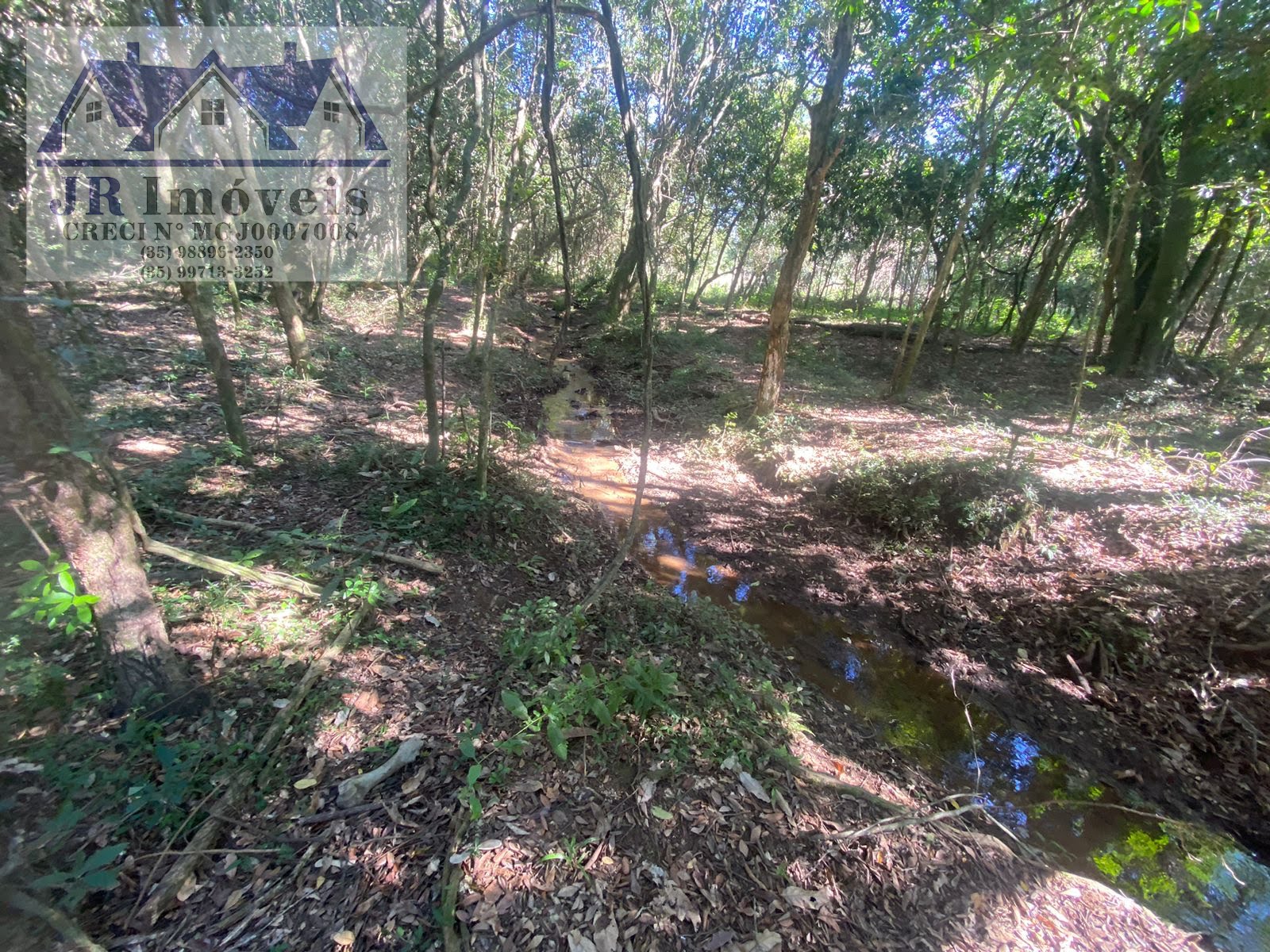 Terreno à venda com 21840m² de terreno no Grota, Itajubá (MG) — foto 11 de 23