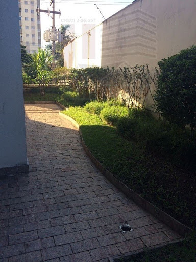 Jardim