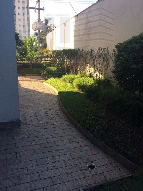 Jardim