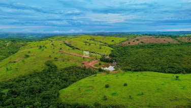 Fazenda em Santo Antônio do Rio Verde  -  Catalão