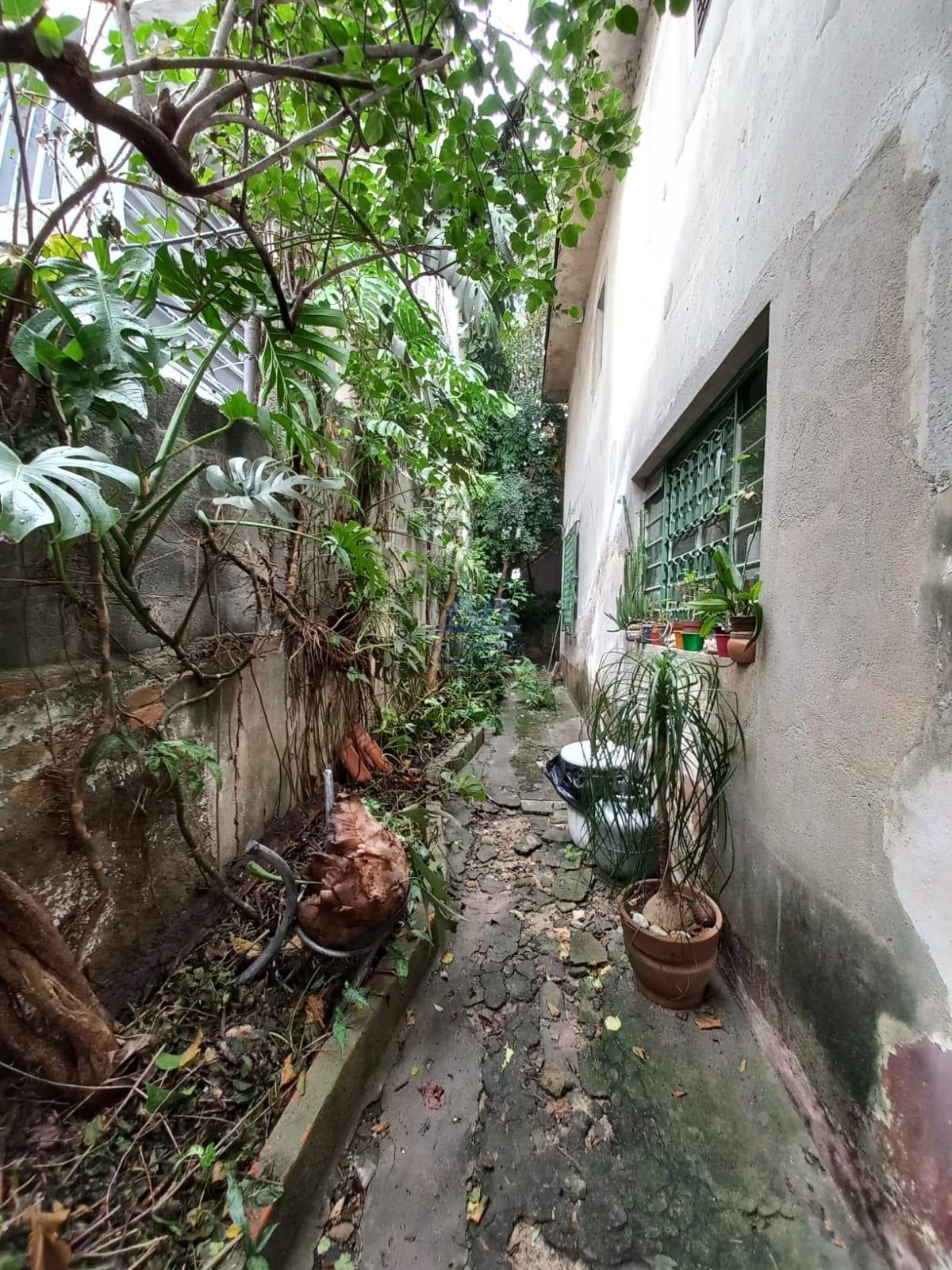 Terreno à venda com 284m² de terreno no São Judas, São Paulo (SP) — foto 7 de 10