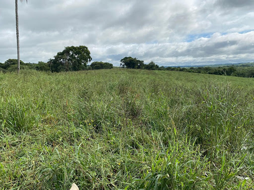 Fazenda em zona rural  -  Camapuã