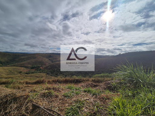 Lote / Terreno em Vale do Sereno  -  Ponte Nova