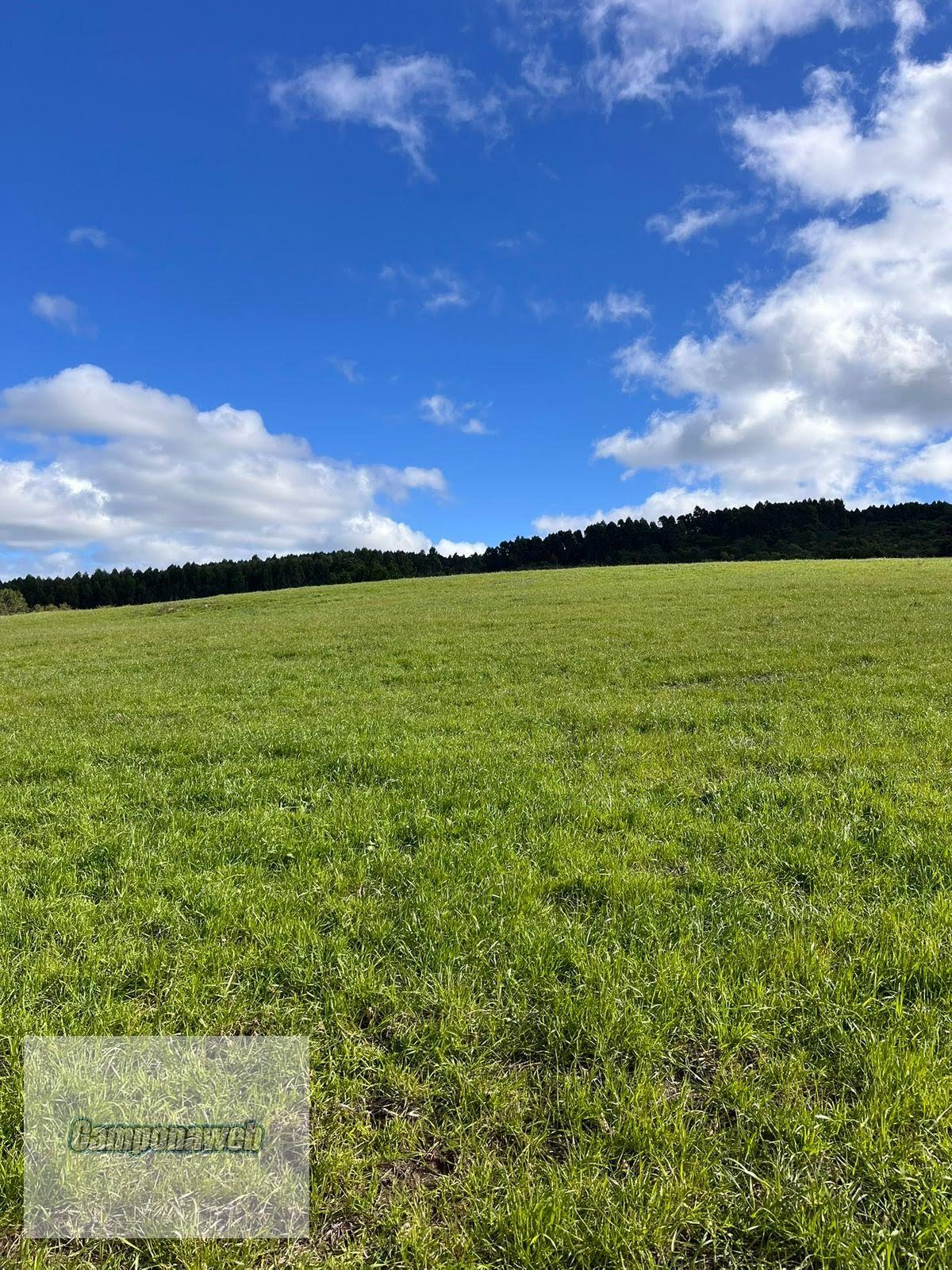 Fazenda à venda Pantano Grande RS